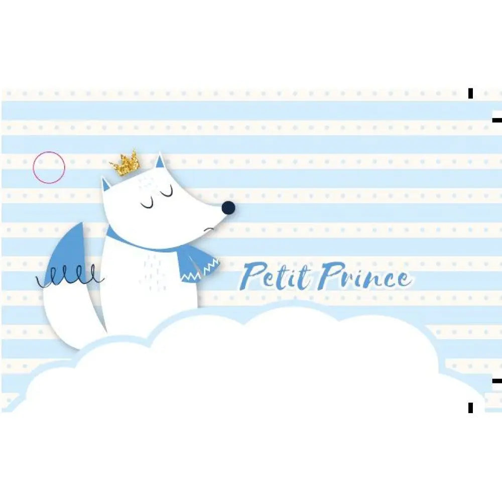 10 Etiquettes ''Naissance'' Prince