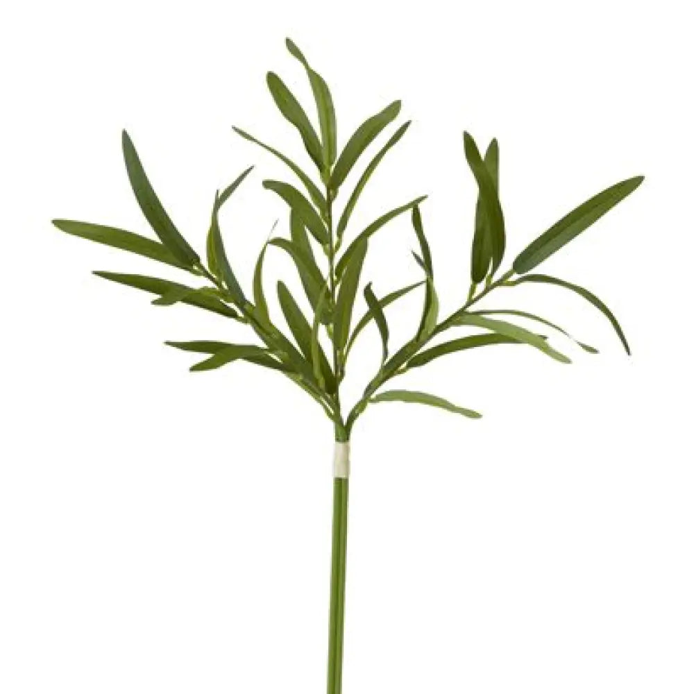 Bouquet de 3 Branches de Bambou Vert