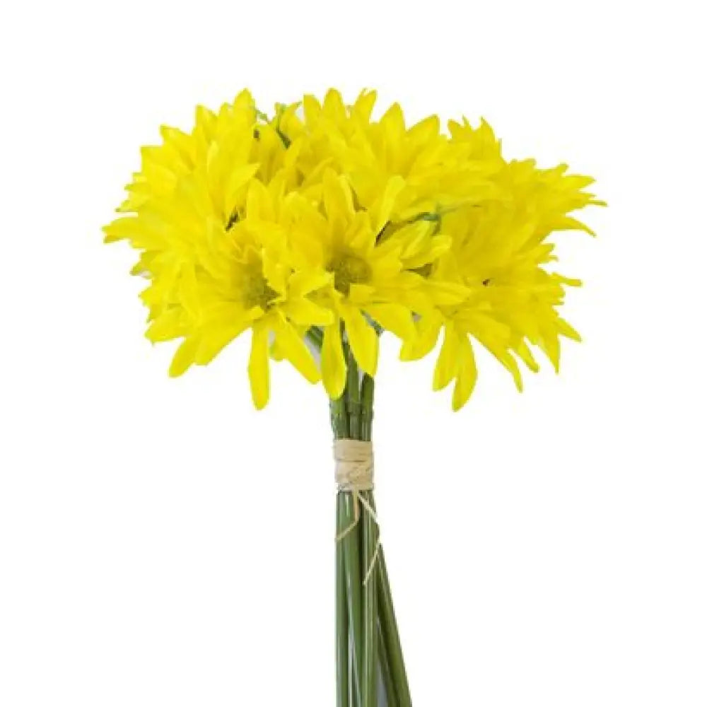 Bouquet de 18 Marguerites sur 6 Tiges