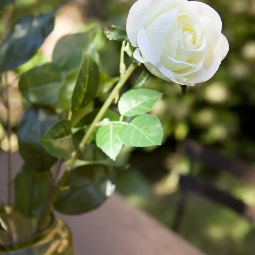 Bouton de Rose - H60cm