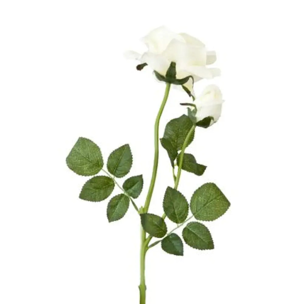 Rose Crème sur Tige - H64cm