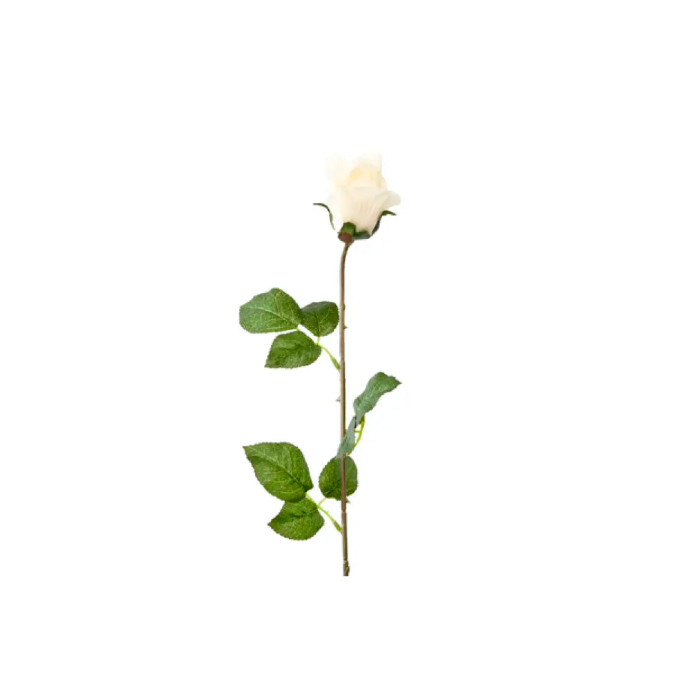 Bouton de Rose Blanche - H72cm