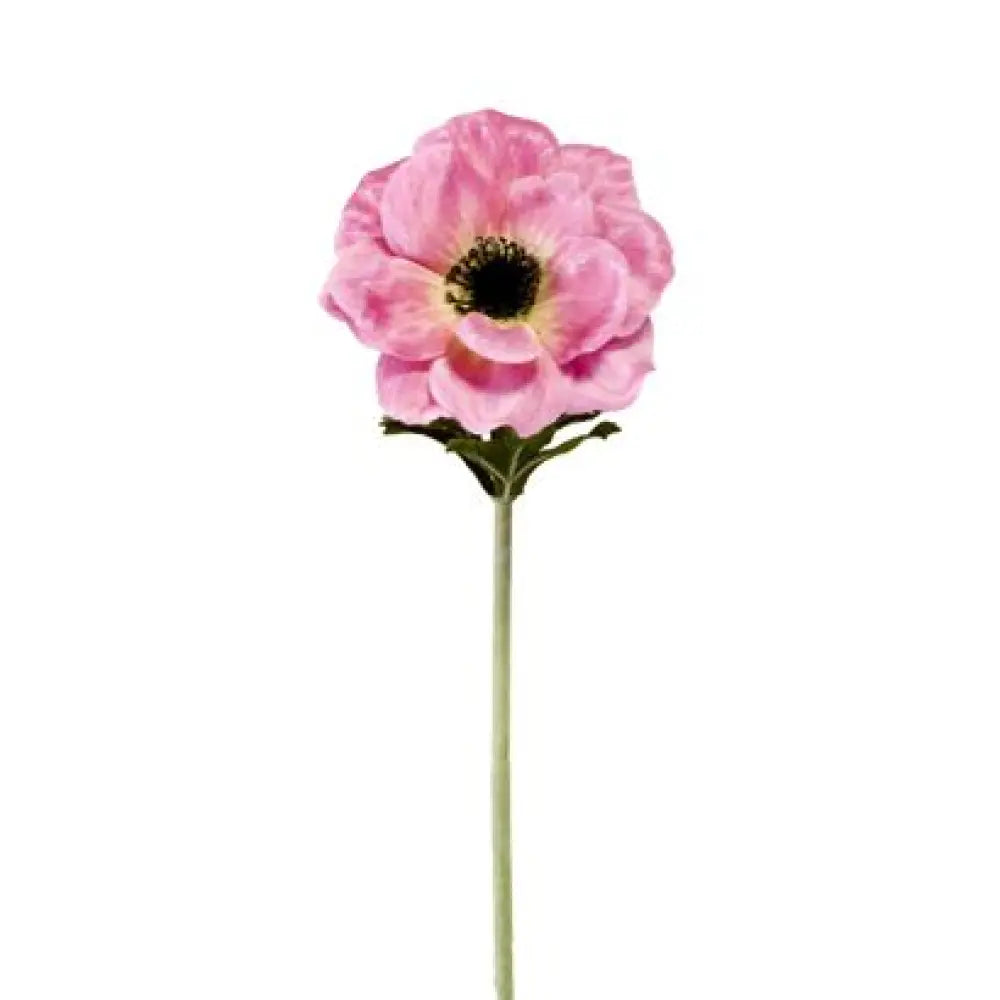 Anémone - H55cm