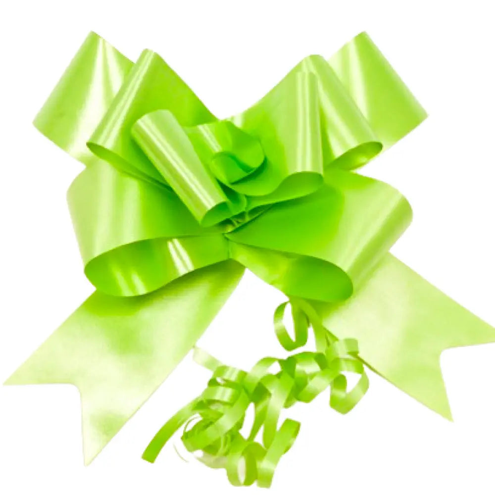 4 Nœuds à Tirer - Forme Papillon - Menthe