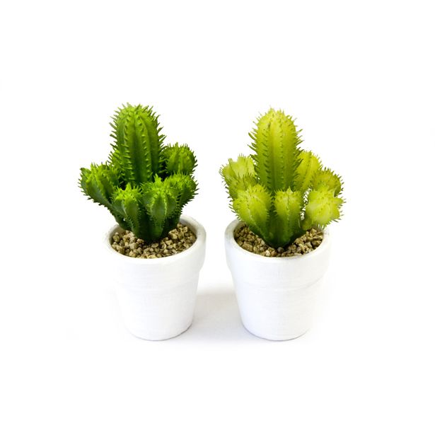Déco Cactus en Plastique