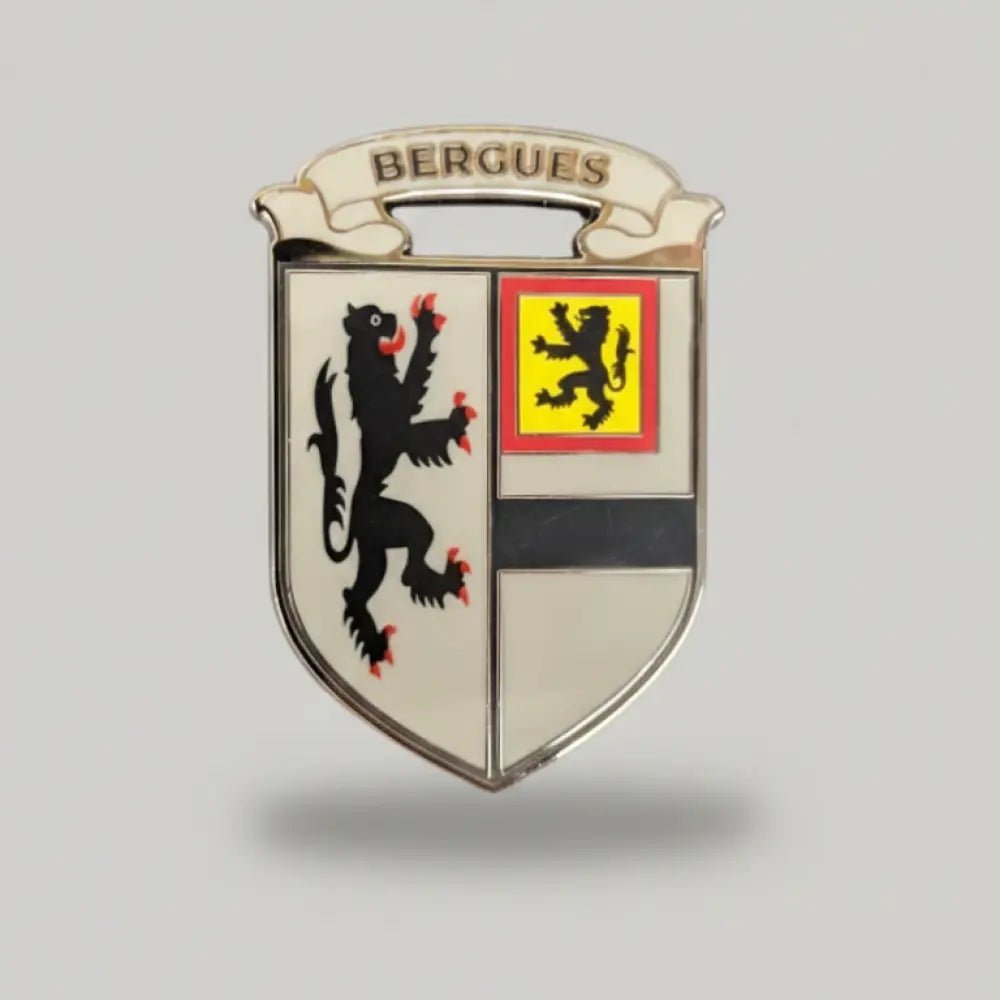 Pins / Broche Bergues