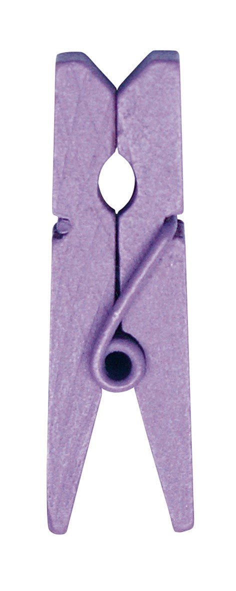 24 Mini pinces en bois Parme - 2,5 cm