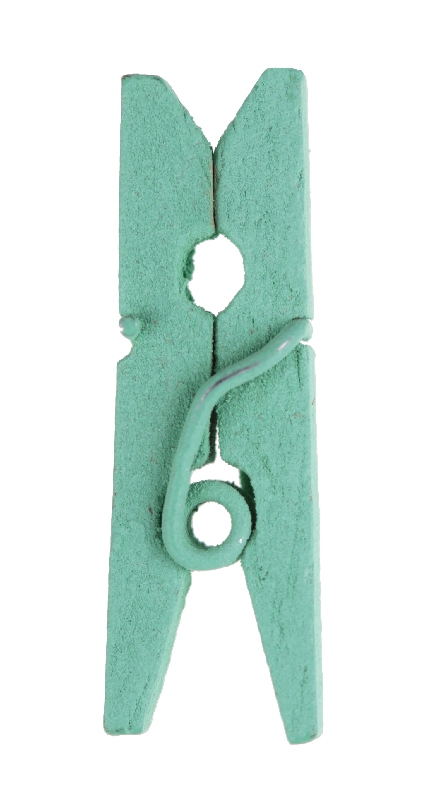 24 Mini pinces en bois Mint - 2,5 cm