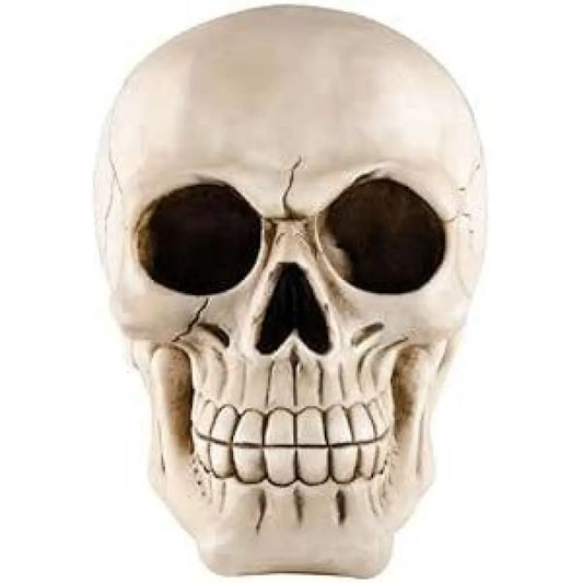 Crane en Résine 11x8x8,5cm