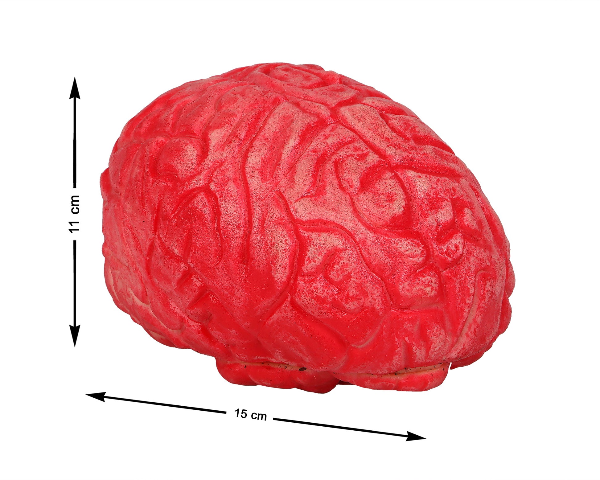 VR. CERVEAU 15X11CM