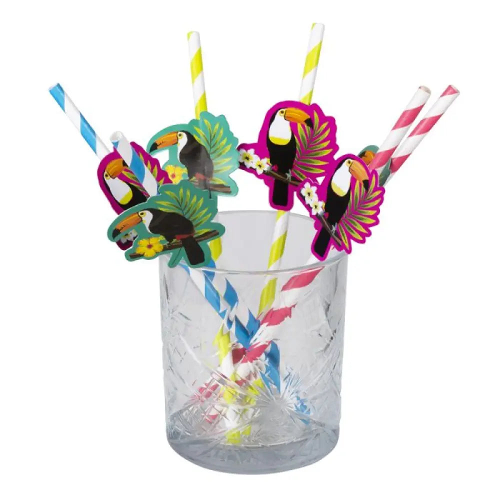 6 Pailles en Papier - Toucan Tropique