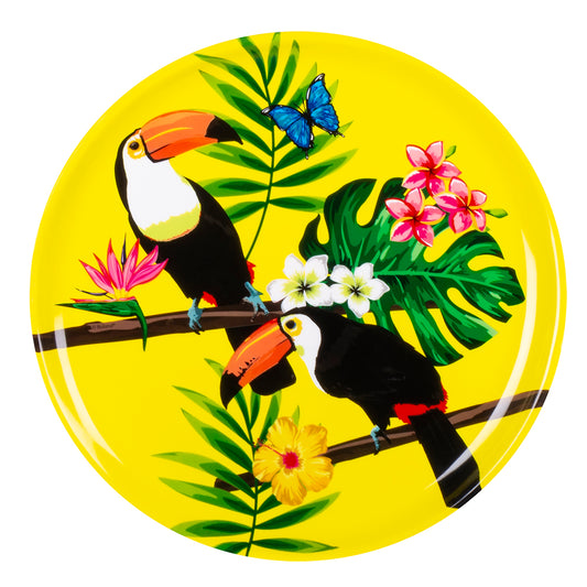 Plateau Toucan