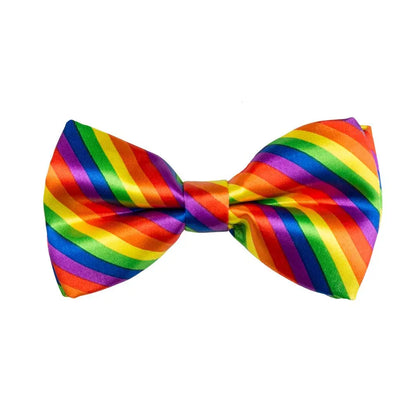 Nœud Papillon Arc-en-Ciel