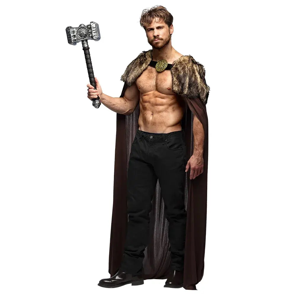 Cape Night hunter