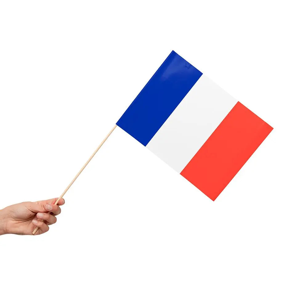 10 Drapeaux France à Main en papier - 20x30cm