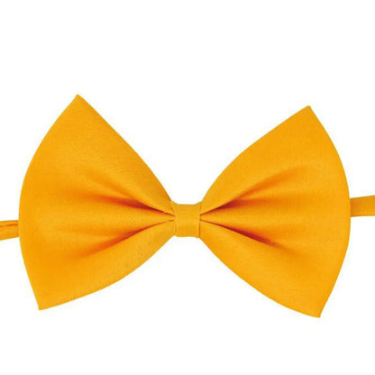 Nœud Papillon Jaune