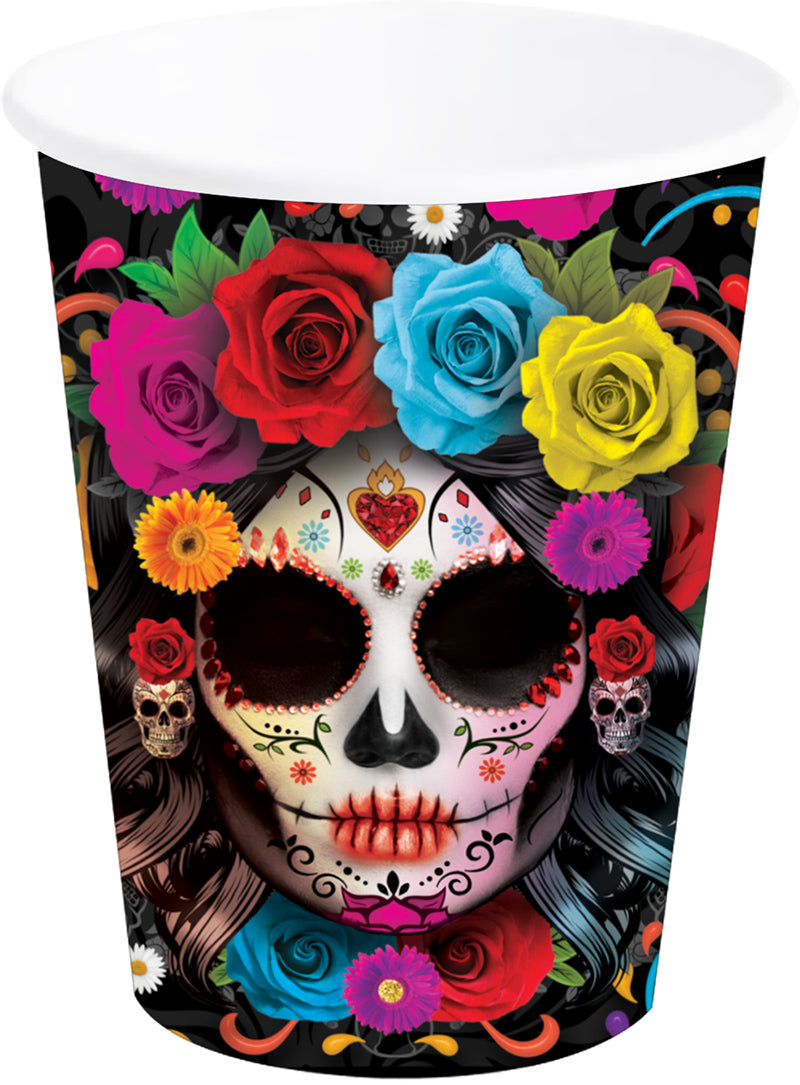 SACHET 6 VERRES CATRINA 240 ML 9 CMS