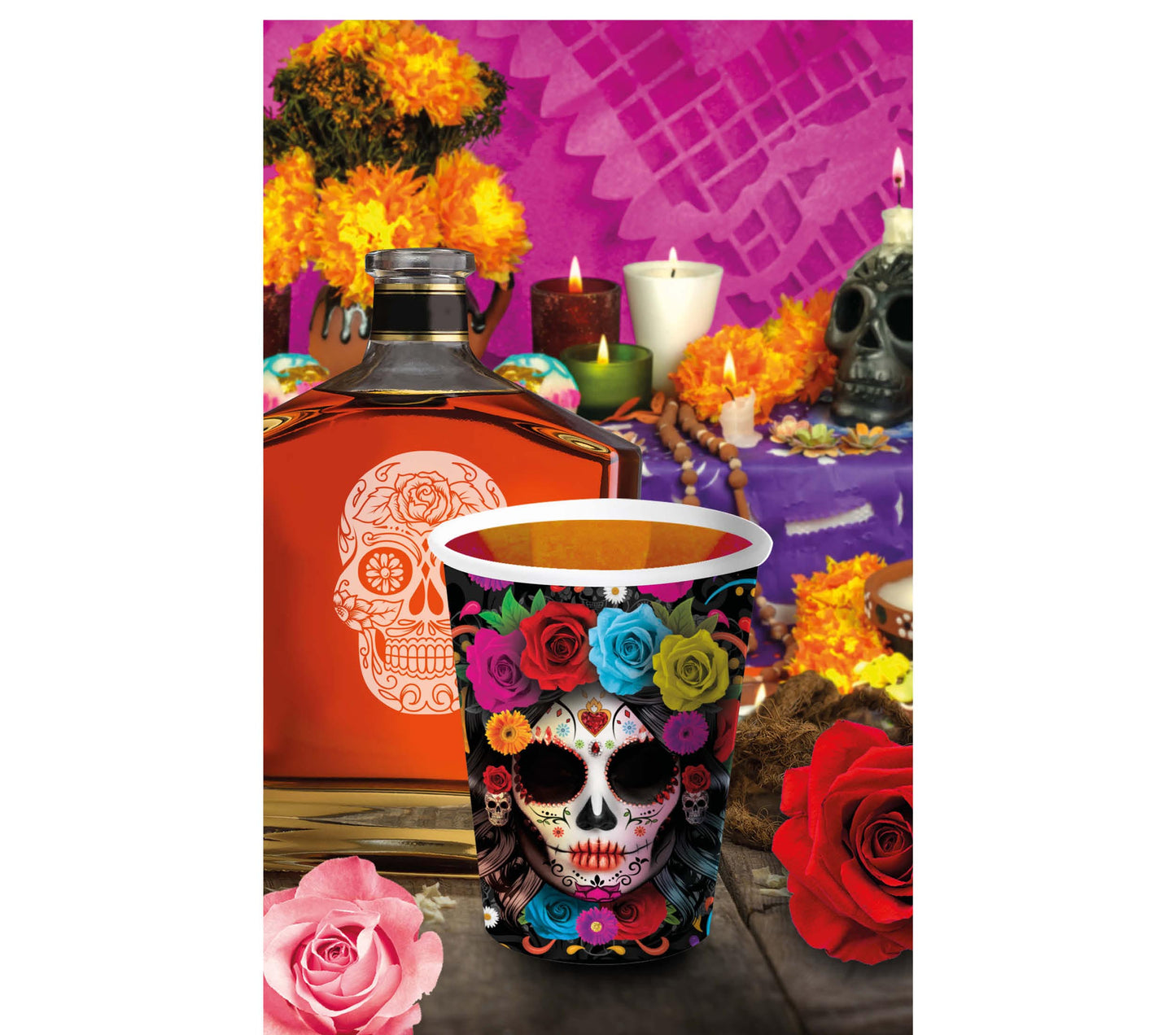 SACHET 6 VERRES CATRINA 240 ML 9 CMS