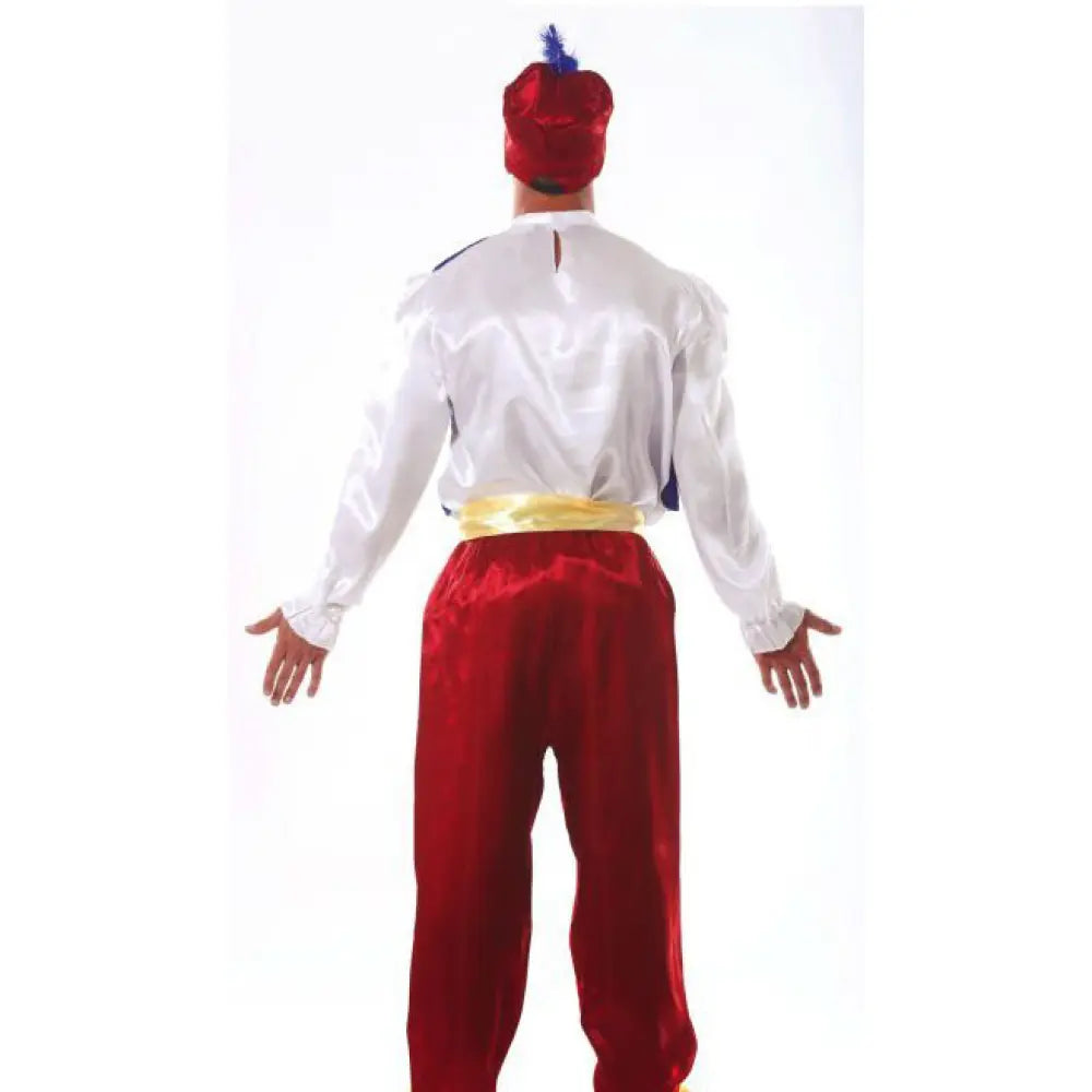 Costume Homme Prince Aladd - L