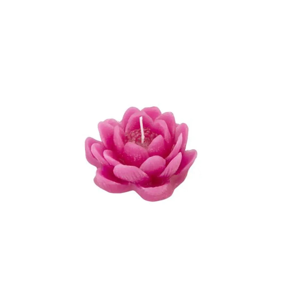 Bougie Fleur - Fuchsia