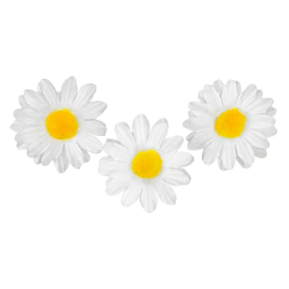 12 Marguerites Décoratives