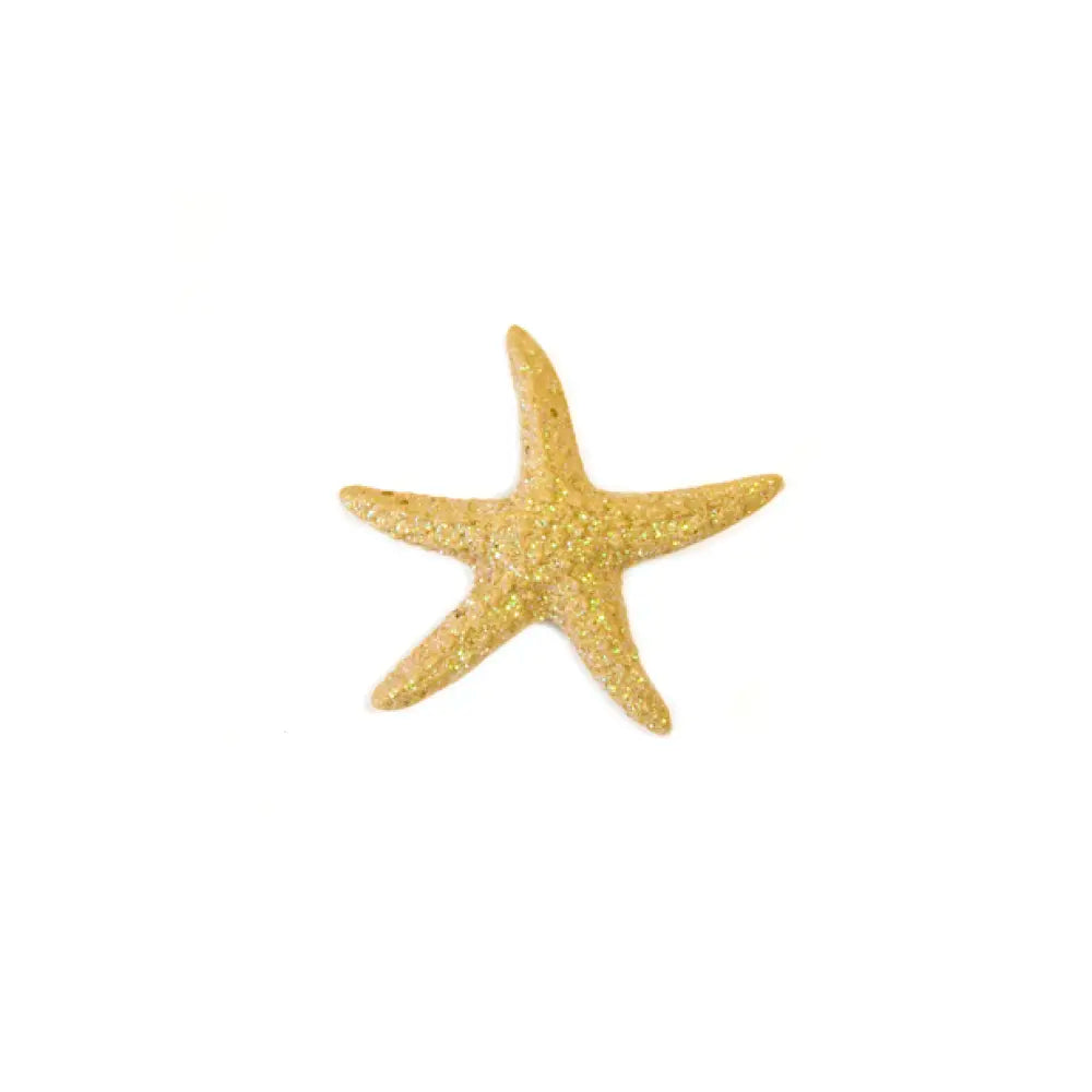4 Etoiles de Mer en Résine