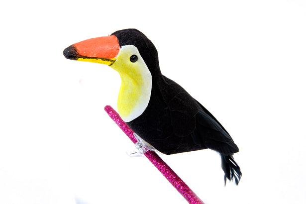 TOUCAN DECO SUR PINCE