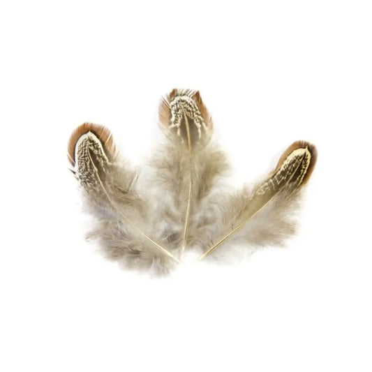 20 Petites Plumes de Faisan Décorative