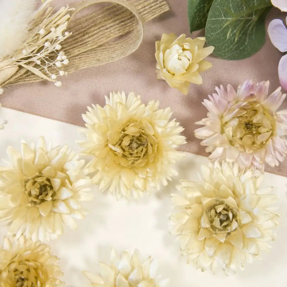 Têtes de Fleurs Séchées - Naturelles - 6gr