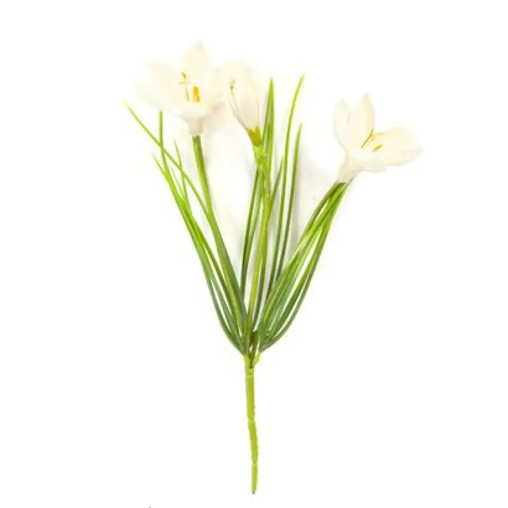Bouquet de Crocus Blanc - 3 Fleurs & 2 Boutons