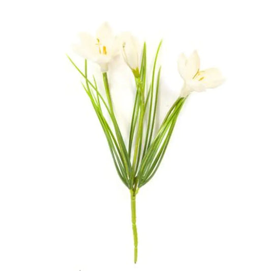 Bouquet de Crocus Blanc - 3 Fleurs & 2 Boutons