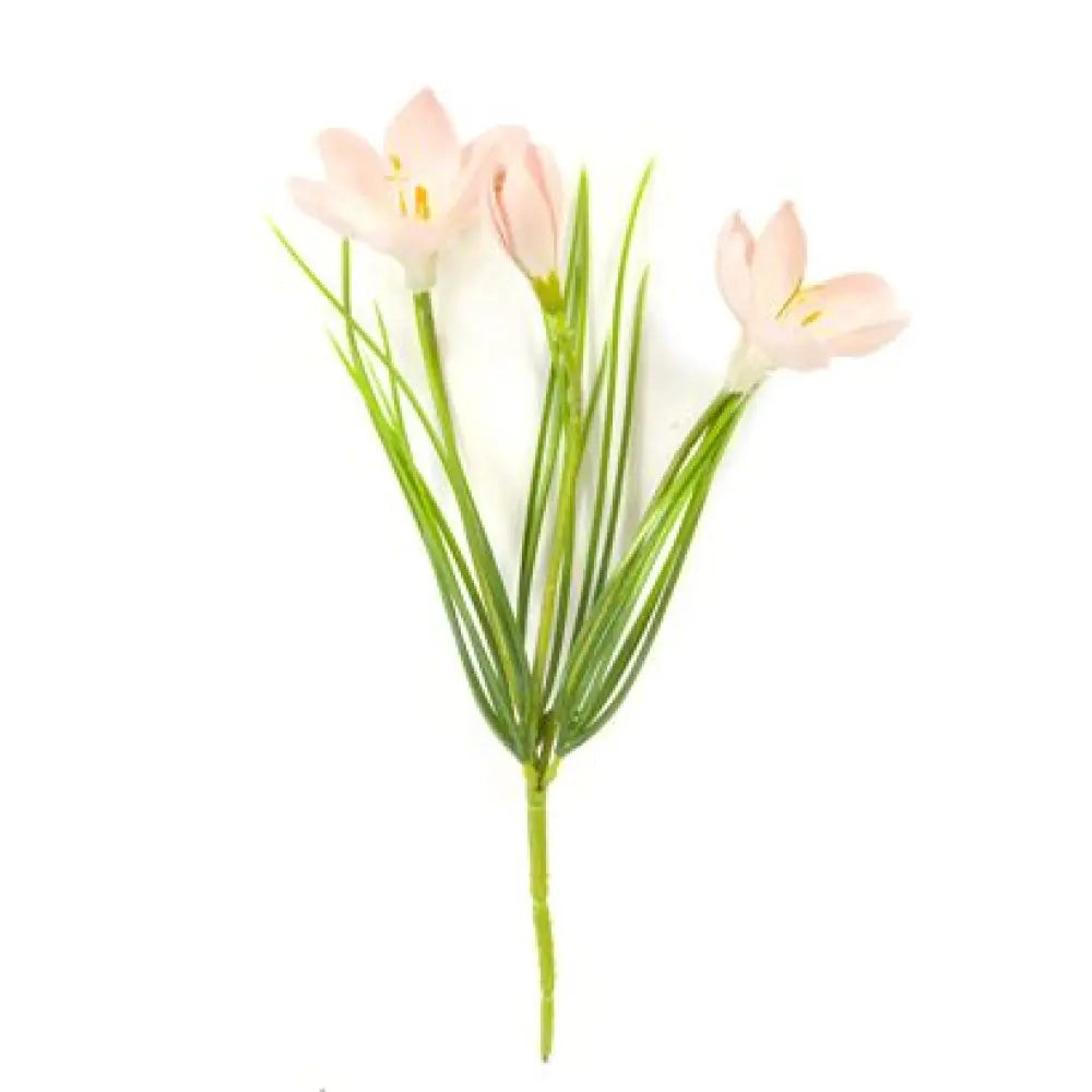 Bouquet de Crocus Rose - 3 Fleurs & 2 Boutons