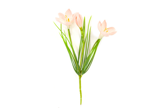 PIQUET DE CROCUS 3 FLEURS ET 2 BOUTONS RO