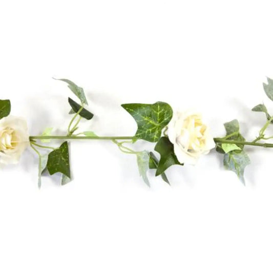 Guirlande de Lierre et Roses - Ivoire - 1,70m env.