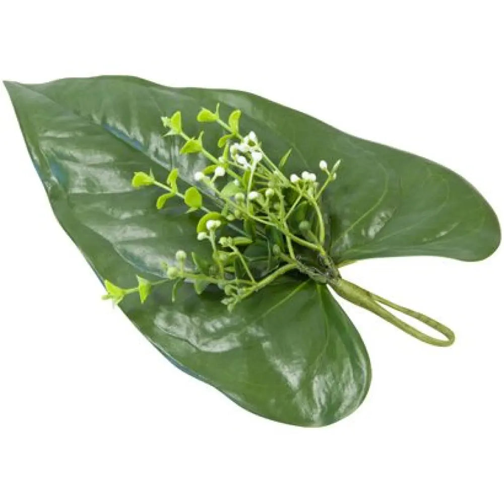 Feuille d'Alocasia avec Fleurettes Blanches