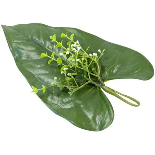 Feuille d'Alocasia avec Fleurettes Blanches