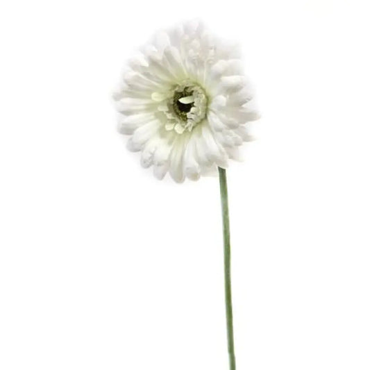 Gerbera avec Tige - H55cm