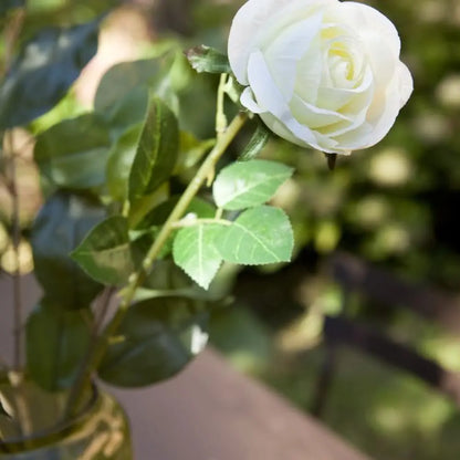 Bouton de Rose - H60cm