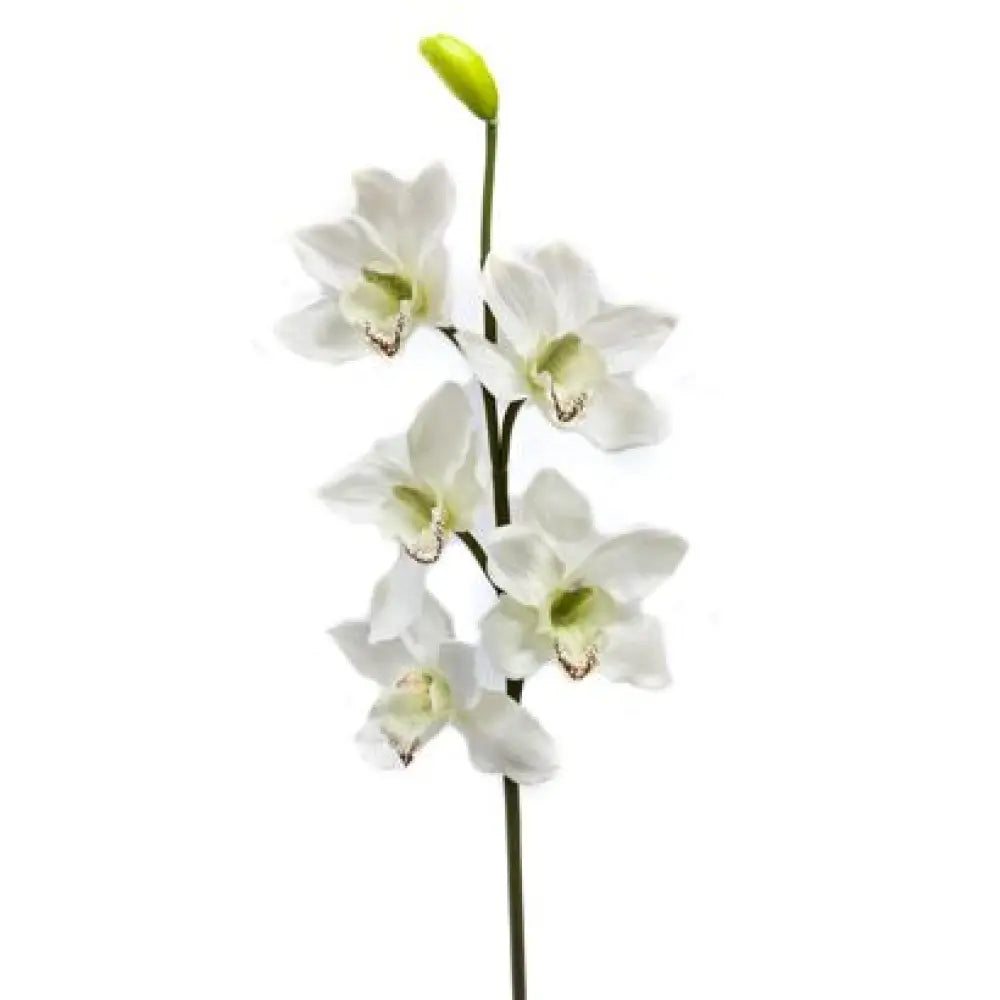 Branche d'Orchidée - H80cm