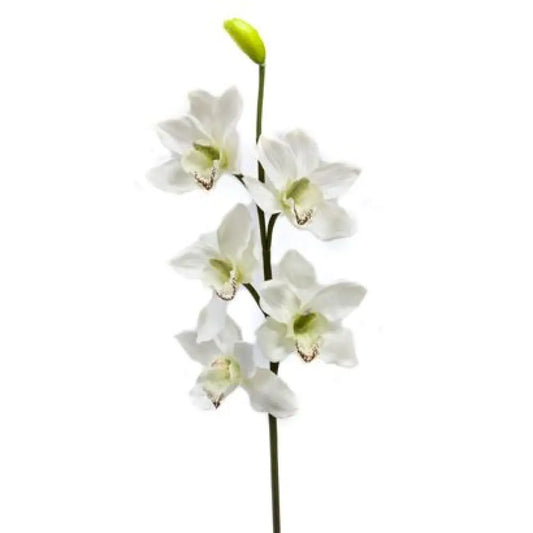 Branche d'Orchidée - H80cm