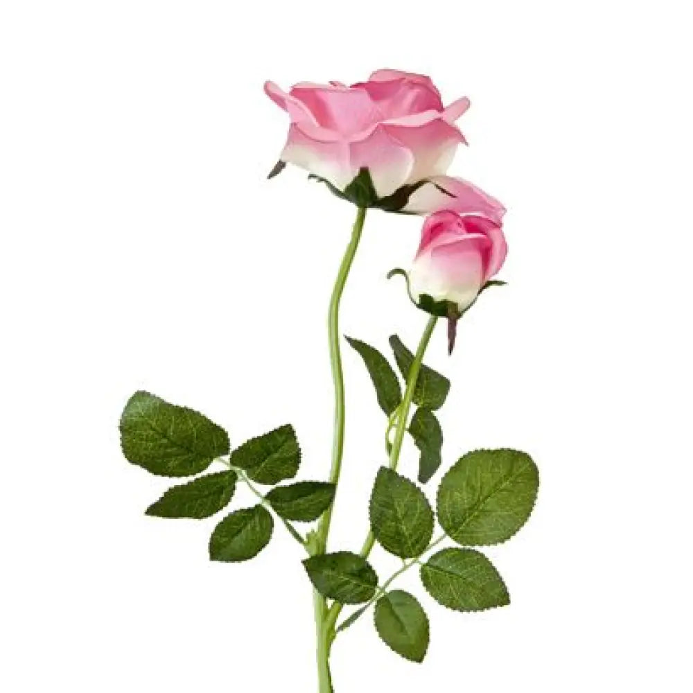 Rose Rose sur Tige - H64cm