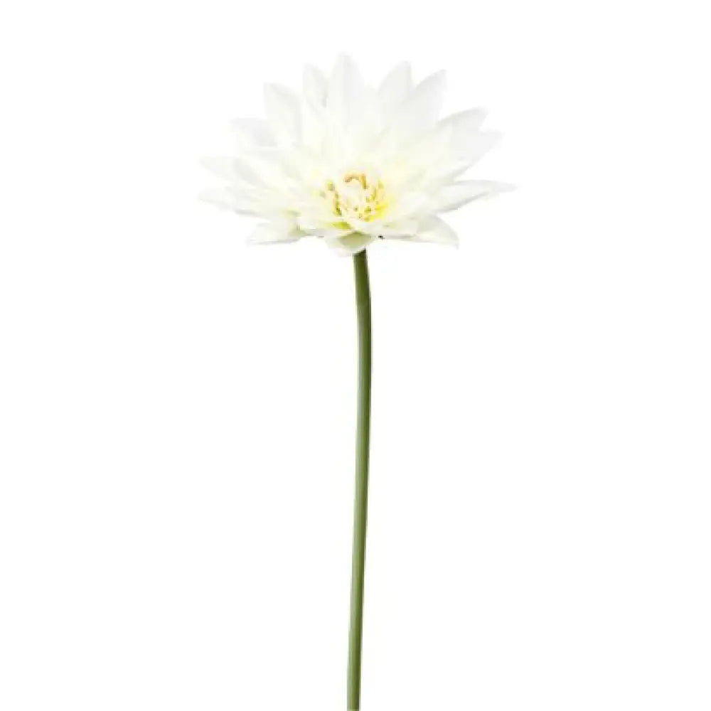 Lotus sur Tige - H78cm