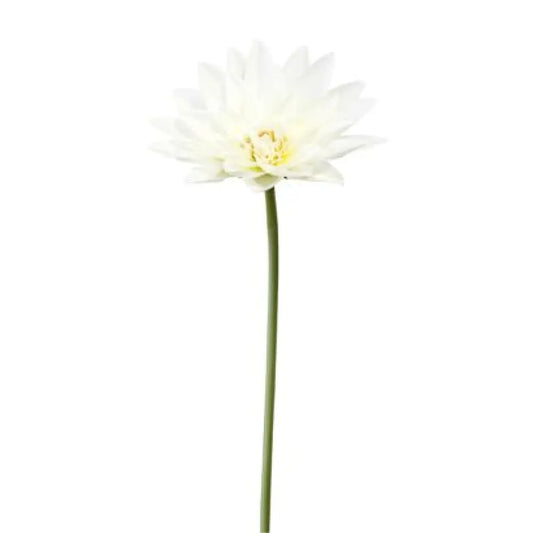 Lotus sur Tige - H78cm