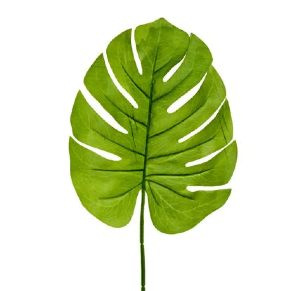 Feuille de Philodendron - H60cm