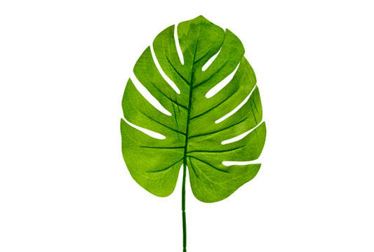 FEUILLE DE PHILODENDRON (60 cm)