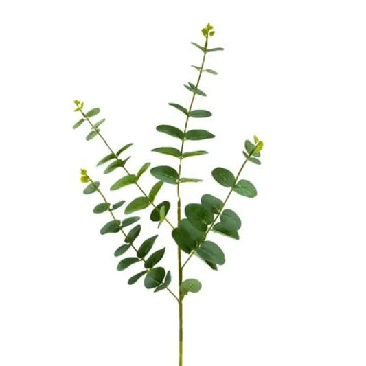 Tige d'Eucalyptus - 90cm