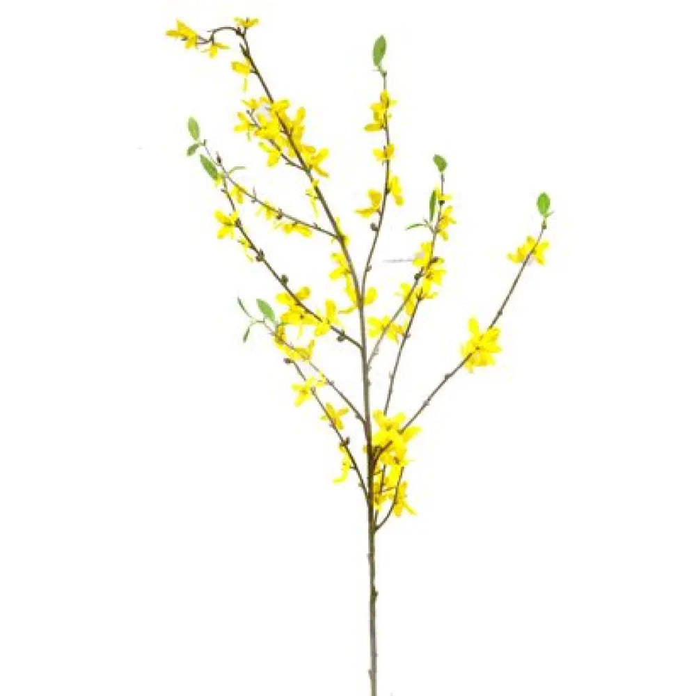 Forsythia avec Feuilles - Jaune - H95cm