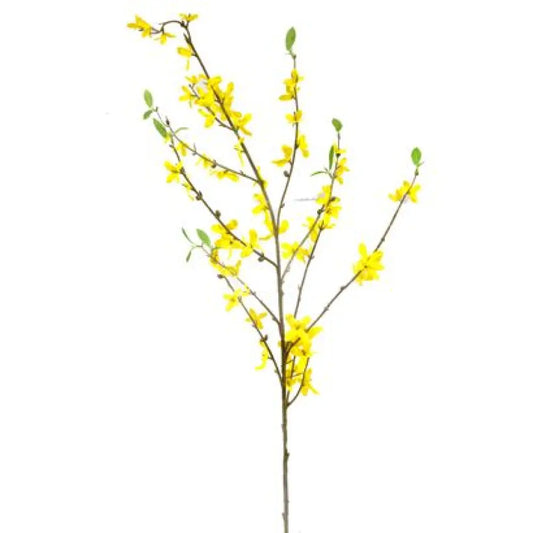 Forsythia avec Feuilles - Jaune - H95cm