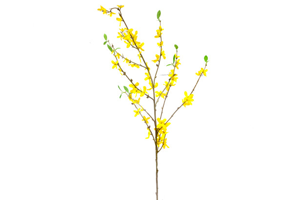 FORSYTHIA AVEC FEUILLES (95 cm) JA