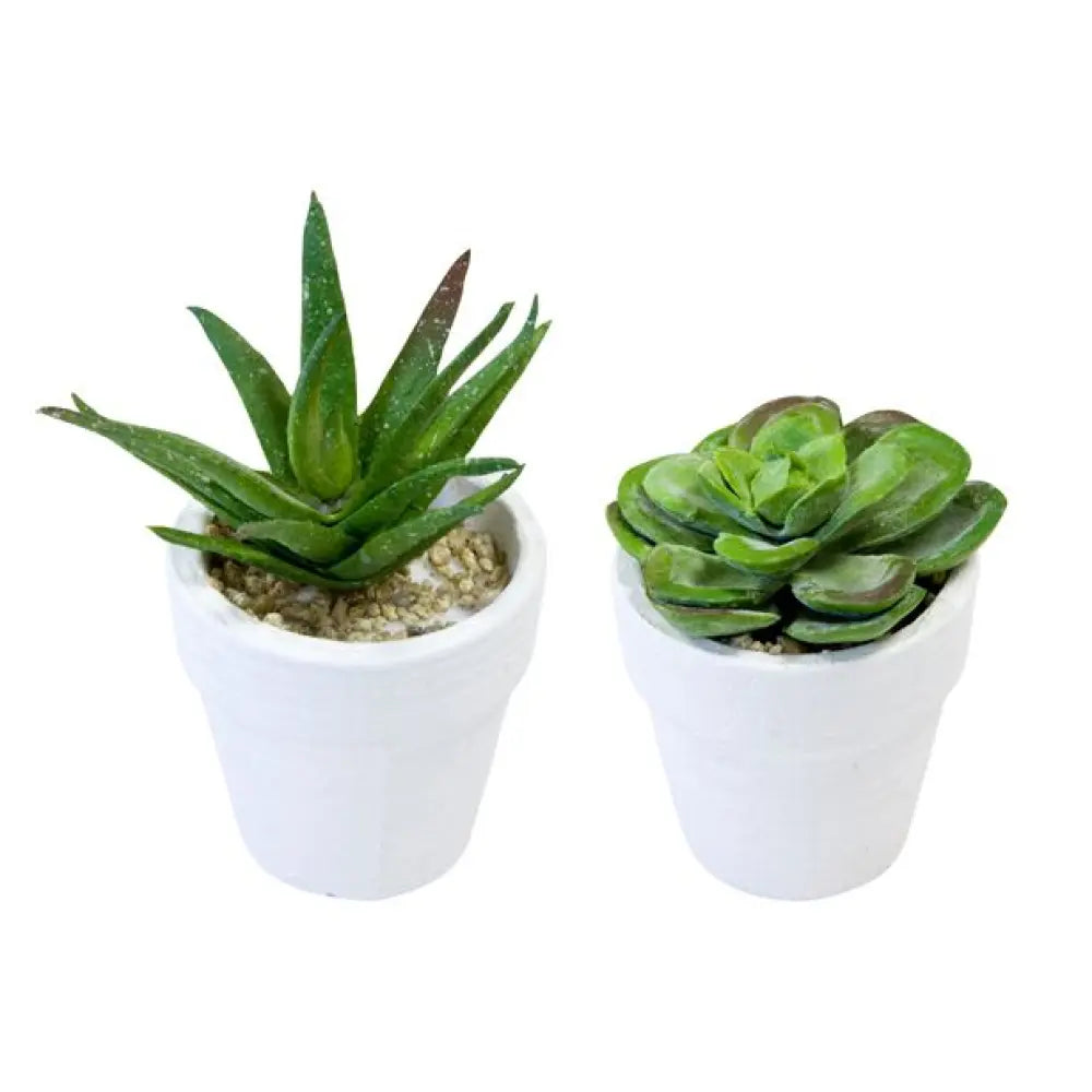 Succulentes en Plastique en Pot (Coloris au choix)